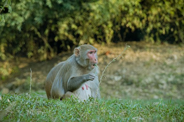Terrorisme et Politique : Une Union Périlleuse pour la Société ?